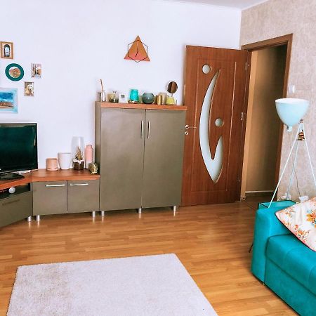Cozy Apartment Bukovina Сучава Экстерьер фото