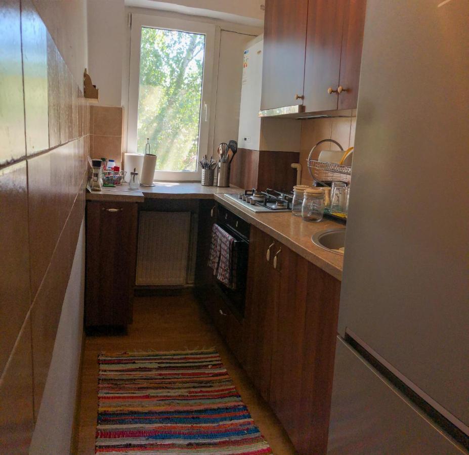 Cozy Apartment Bukovina Сучава Экстерьер фото